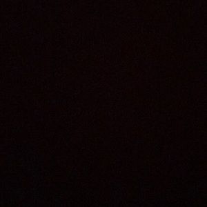 Meet your Posher, Damian